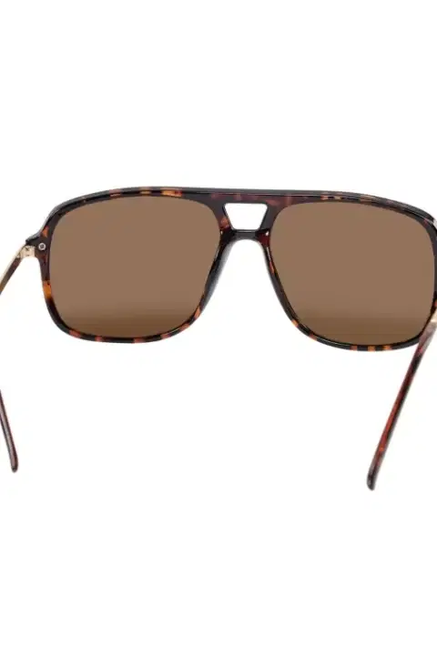 Nulinse Sunglasses