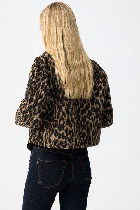 Rizz Leopard Print Cropped Jacket, Brown