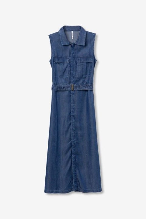 Lichiony Denim Dress