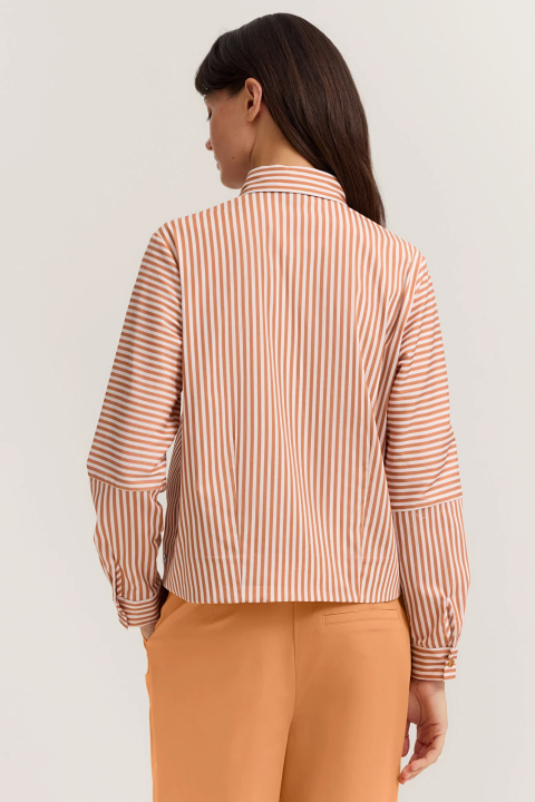 Stripe Button Down Blouse